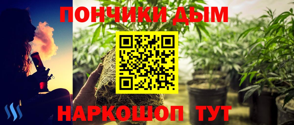 Светлоград  Конопля ГИДРОПОН  Конопля марихуана  Вход с VPN  Канабис Amnesia 